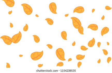 Many Cute Orange Leaves of Different Size on White Background