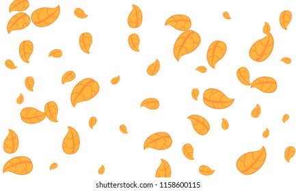 Many Cute Orange Leaves of Different Size on White Background