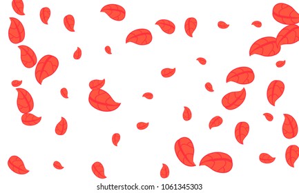 Many Cute Red Leaves of Different Size on White Background