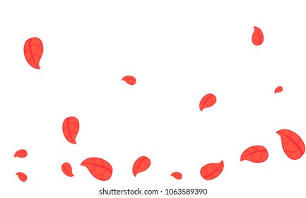 Many Cute Red Leaves of Different Size on White Background