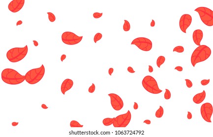 Many Cute Red Leaves of Different Size on White Background