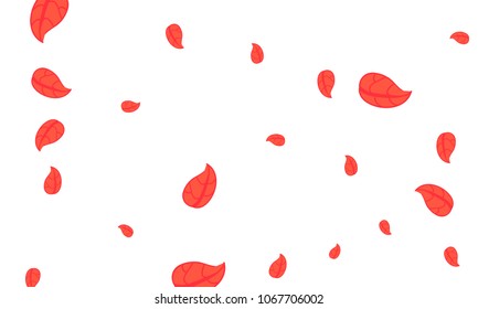 Many Cute Red Leaves of Different Size on White Background
