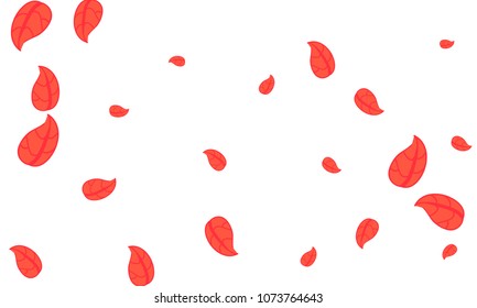 Many Cute Red Leaves of Different Size on White Background
