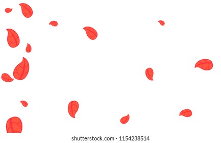Many Cute Red Leaves of Different Size on White Background