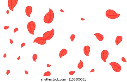 Many Cute Red Leaves of Different Size on White Background