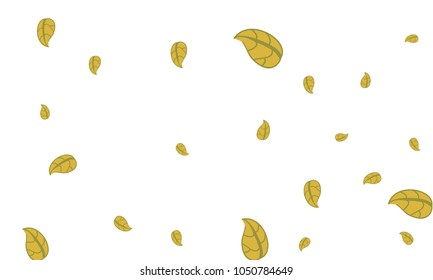 Many Cute Yellow Leaves of Different Size on White Background