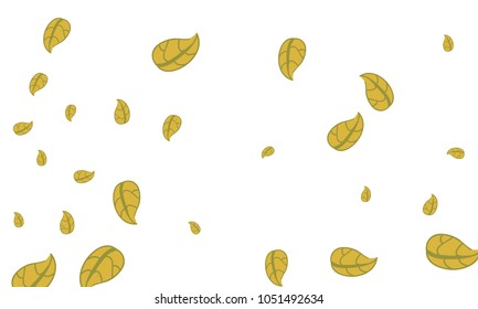 Many Cute Yellow Leaves of Different Size on White Background
