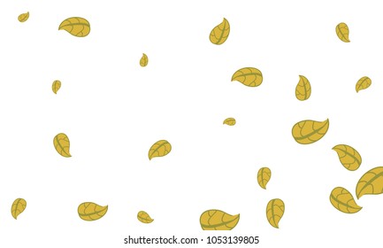 Many Cute Yellow Leaves of Different Size on White Background