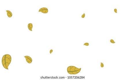 Many Cute Yellow Leaves of Different Size on White Background
