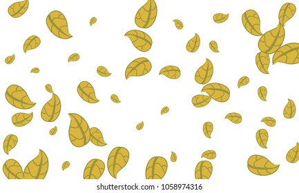 Many Cute Yellow Leaves of Different Size on White Background