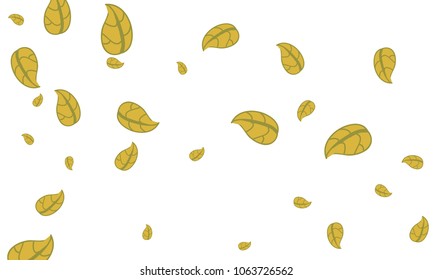 Many Cute Yellow Leaves of Different Size on White Background