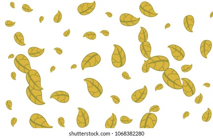 Many Cute Yellow Leaves of Different Size on White Background
