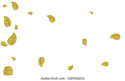 Many Cute Yellow Leaves of Different Size on White Background