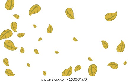 Many Cute Yellow Leaves of Different Size on White Background