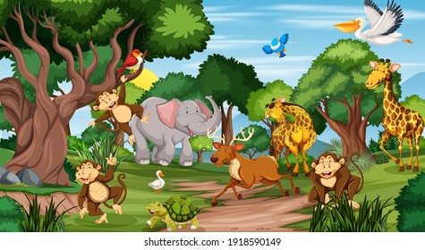 Many different animals in the forest scene illustration