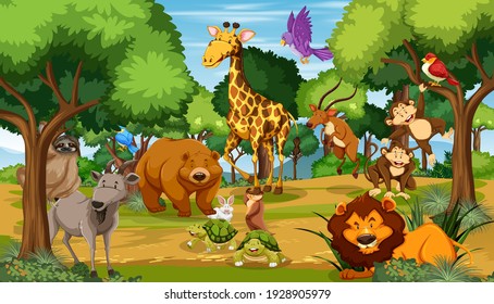 Many different animals in the forest scene illustration