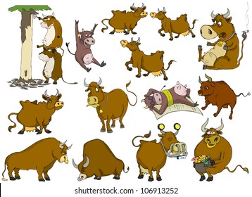Many different cows and bulls on a white background