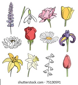 many different flowers color vector doodle