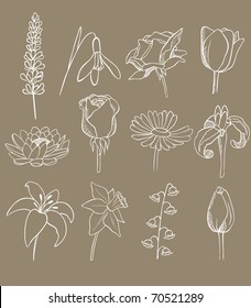 colección de doodle vectorial de muchas flores