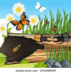 Many different insects in the garden scene illustration