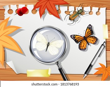 Many different insects on the table close up illustration