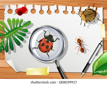 Many different insects on the table close up illustration