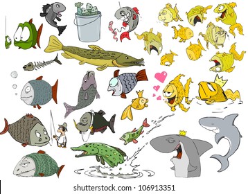 Many different species of fish on a white background
