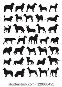 Many dog species in silhouettes