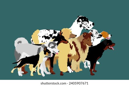 Muchos perros en fila esperando la ilustración de vectores de la clínica veterinaria. Envase, matriz de perros aislados. Dalmatian, Poodle, Rottweiler, Great Dane, Doberman, Rough Collie Scottish Shepherd, pit bull terrier terrier