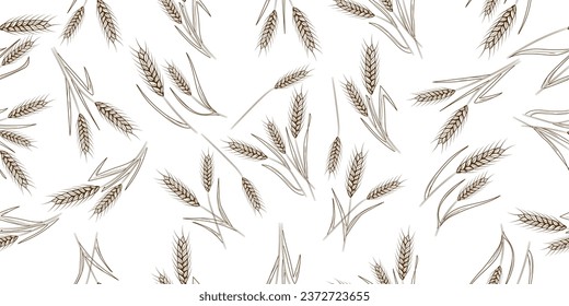 Many drawn spikelets on white background. Pattern for design