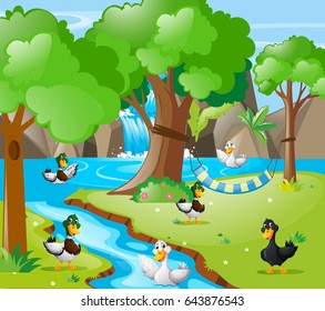 Many ducks in the forest illustration