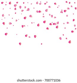 Many Falling Pink Sakura Or Rose Petals Isolated On White Background. Vector Illustration