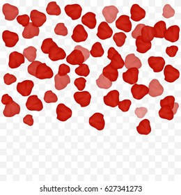 Many Falling Red Rose Petals Isolated On Transparent Background. Vector