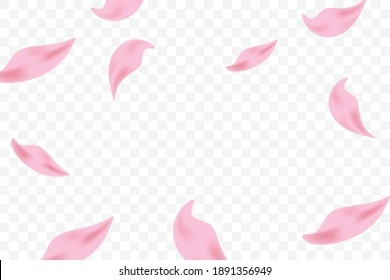 Many Falling Tiny Pink Sakura Petals Isolated On Background. 3d. Vector Illustration