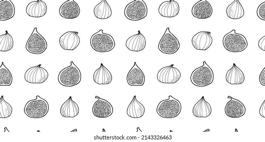 Many figs isolated on white background. Vector seamless pattern. Hand drawn. For food package, wrapping paper, social media posts, printing on fabrics, banners, book recipies cover, menu design.
