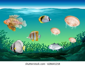 Many fish swimming under the ocean illustration