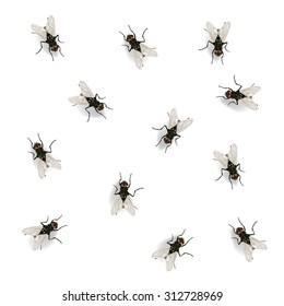 Many Flies On Wall Vector Illustration Stock Vector (Royalty Free ...