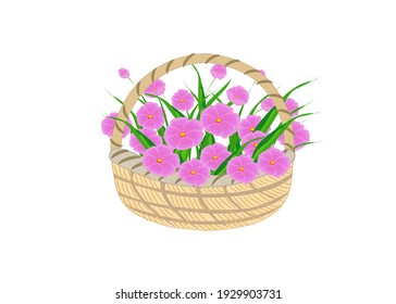Many  flowers in the basket on white background for your text.