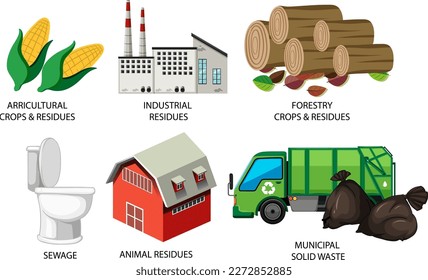 Many Forms of Biomass Energy illustration