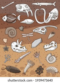 Many fossil under the ground illustration
