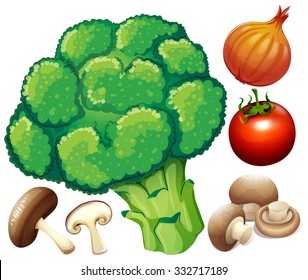 Muchas verduras frescas en la ilustración blanca