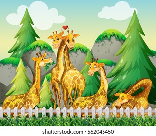 Many giraffes in the zoo illustration