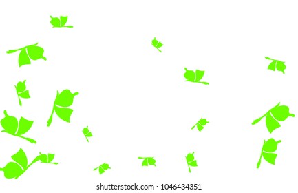 Many Green Butterflies on White Background