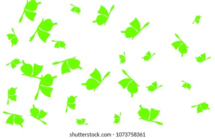 Many Green Butterflies on White Background
