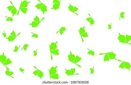 Many Green Butterflies on White Background