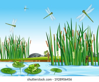 Many green frogs and dragonfly in the pond scene illustration