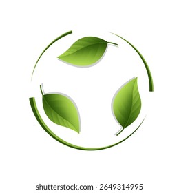 Muitas folhas verdes caem ao chão