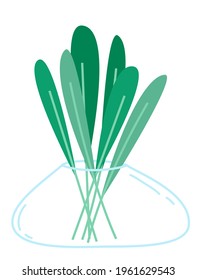 Many green leaves in a low glass vase with a narrow neck on a white background. Vector design elements.