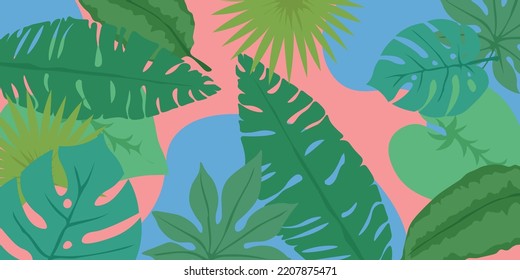 Many green tropical leaves on color background