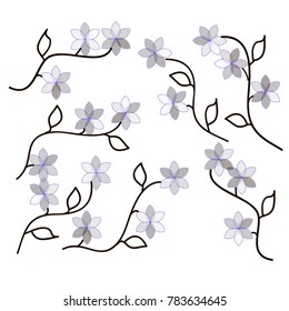 Many Grey Flowers of Different Opacity with Dark Leaves and Stems on White Background